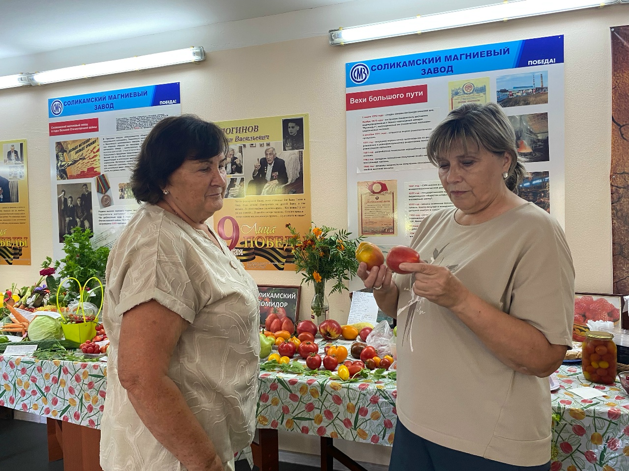 «Шоколадная вишня» от ветеранов СМЗ «Шоколадная вишня» от ветеранов СМЗ