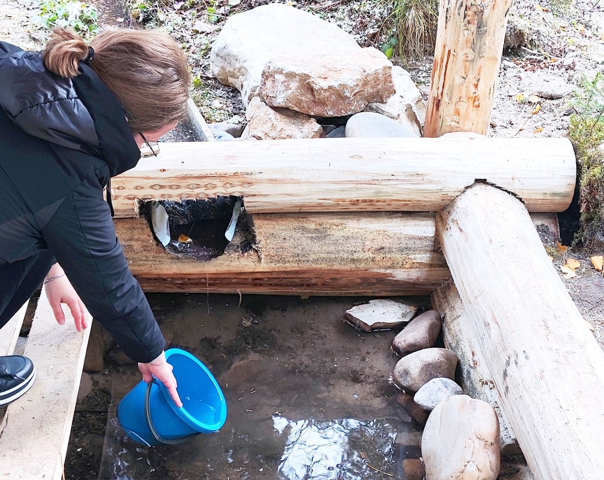 Родник – источник жизни Родник – источник жизни